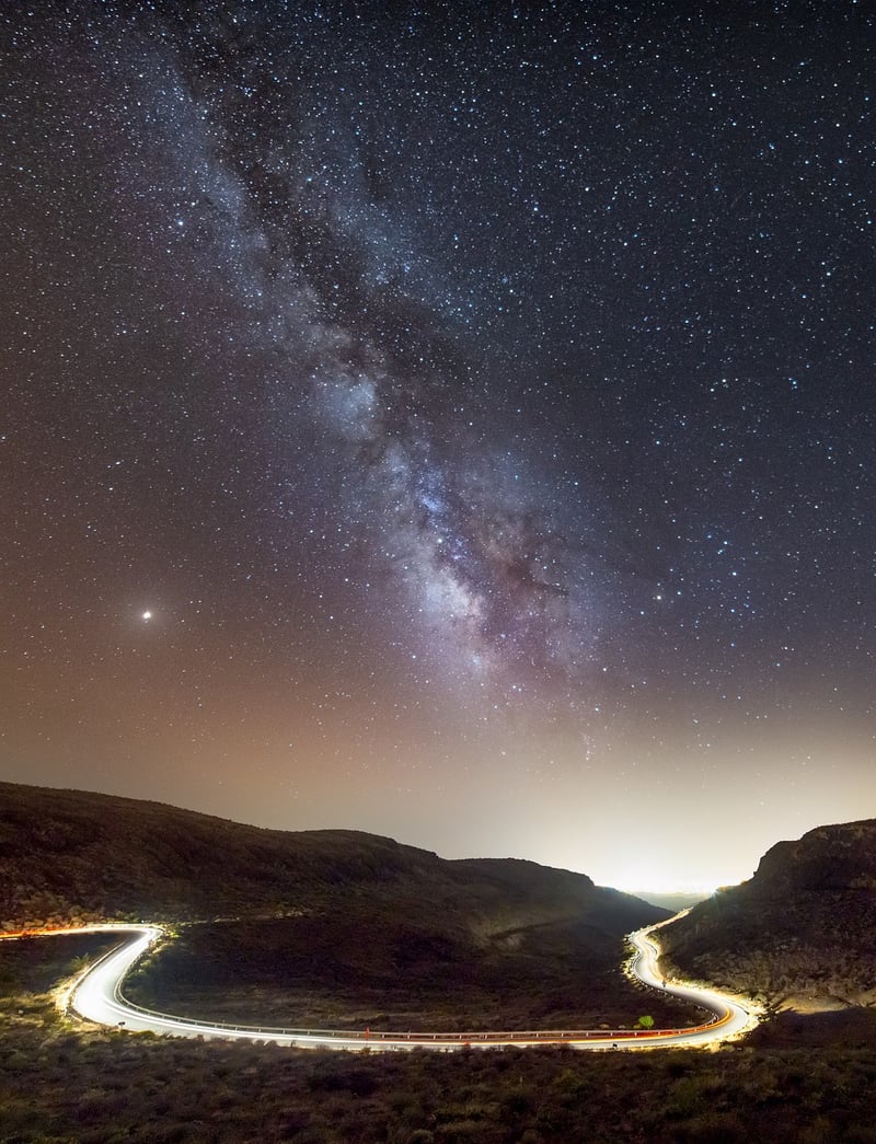 Garden at night with stars
